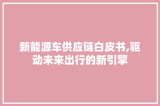 新能源车供应链白皮书,驱动未来出行的新引擎