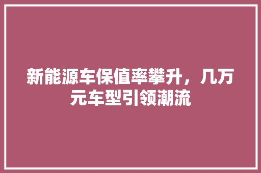 新能源车保值率攀升，几万元车型引领潮流