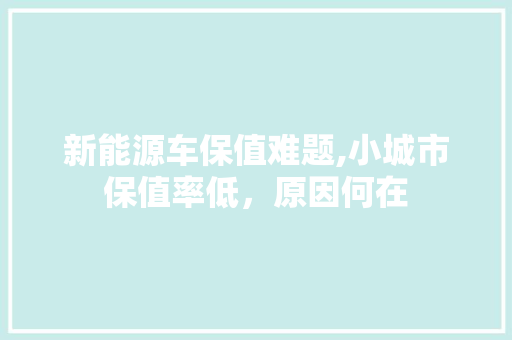 新能源车保值难题,小城市保值率低，原因何在