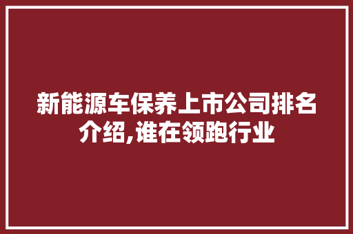 新能源车保养上市公司排名介绍,谁在领跑行业