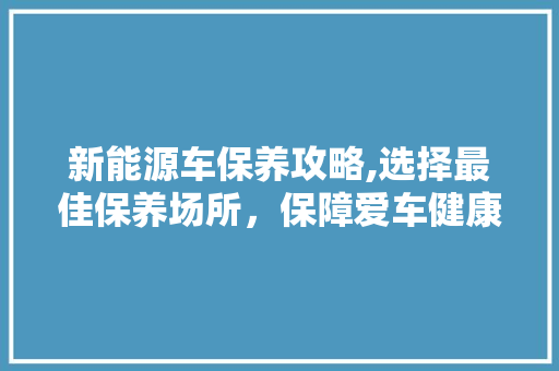 新能源车保养攻略,选择最佳保养场所，保障爱车健康长寿