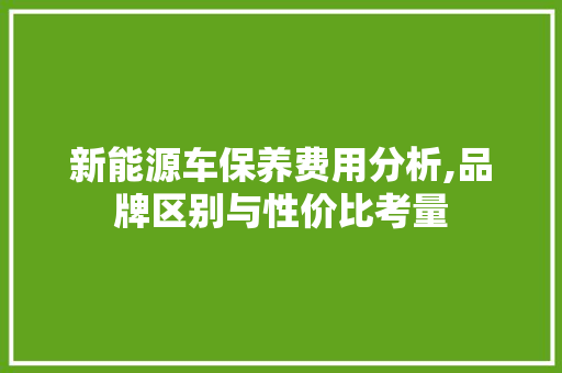 新能源车保养费用分析,品牌区别与性价比考量 车灯配件