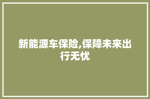 新能源车保险,保障未来出行无忧