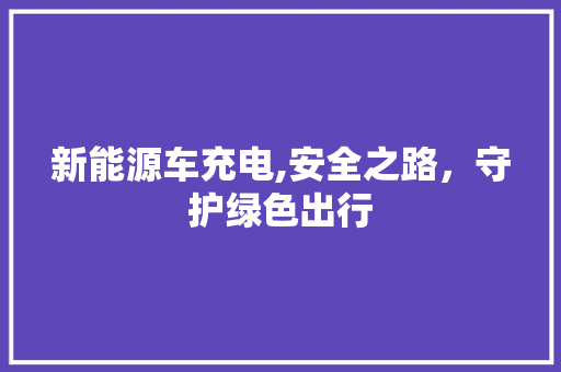 新能源车充电,安全之路，守护绿色出行