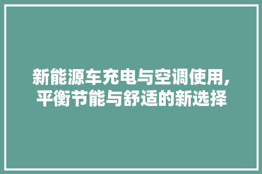 新能源车充电与空调使用,平衡节能与舒适的新选择