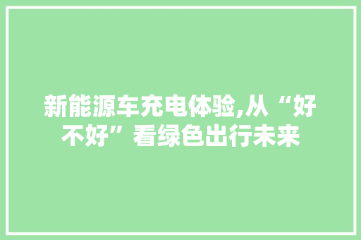新能源车充电体验,从“好不好”看绿色出行未来