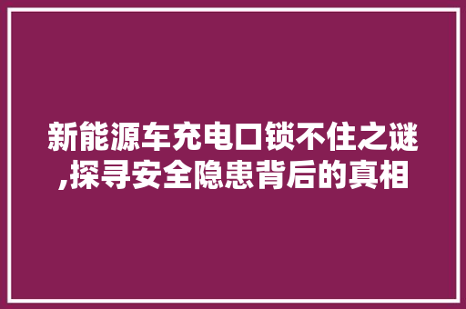 新能源车充电口锁不住之谜,探寻安全隐患背后的真相
