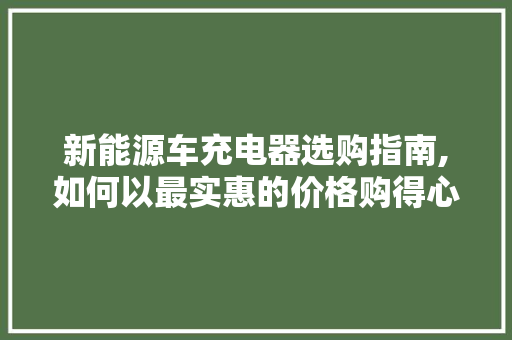 新能源车充电器选购指南,如何以最实惠的价格购得心仪产品