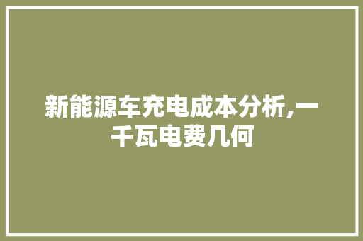 新能源车充电成本分析,一千瓦电费几何