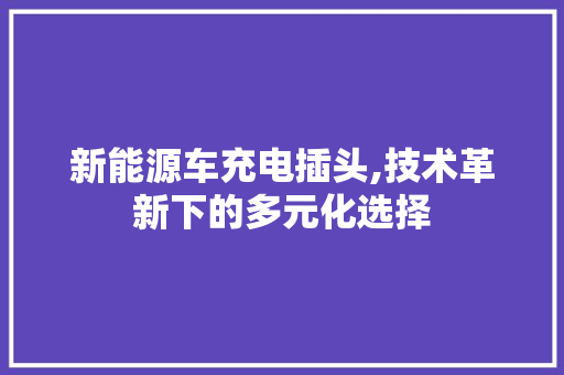 新能源车充电插头,技术革新下的多元化选择 车身配件