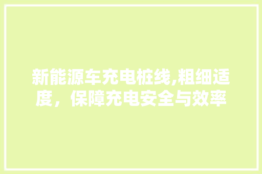 新能源车充电桩线,粗细适度，保障充电安全与效率 变速箱配件