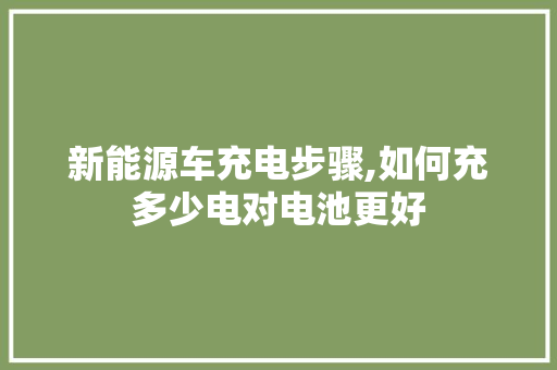 新能源车充电步骤,如何充多少电对电池更好