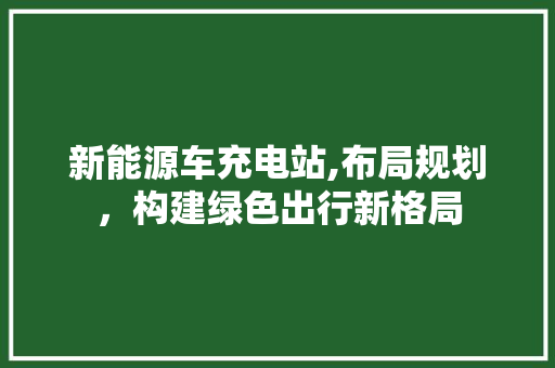 新能源车充电站,布局规划，构建绿色出行新格局