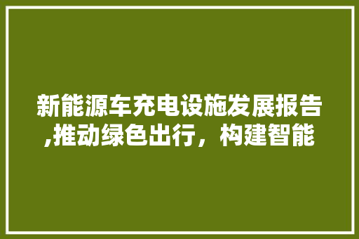 新能源车充电设施发展报告,推动绿色出行，构建智能交通生态