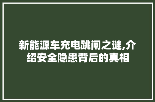 新能源车充电跳闸之谜,介绍安全隐患背后的真相