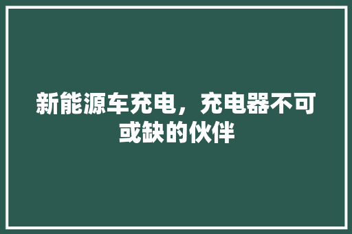 新能源车充电，充电器不可或缺的伙伴