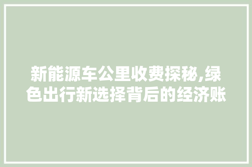 新能源车公里收费探秘,绿色出行新选择背后的经济账