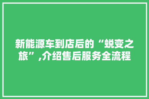 新能源车到店后的“蜕变之旅”,介绍售后服务全流程