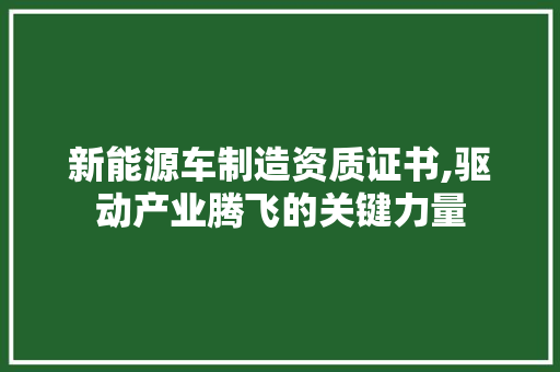 新能源车制造资质证书,驱动产业腾飞的关键力量