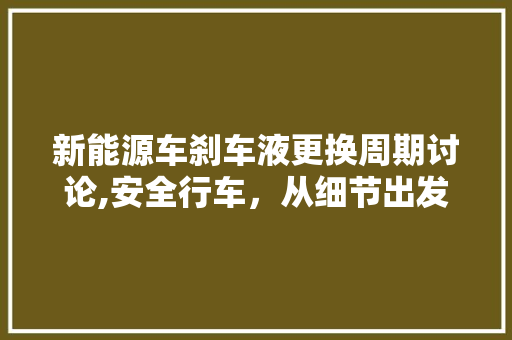 新能源车刹车液更换周期讨论,安全行车，从细节出发