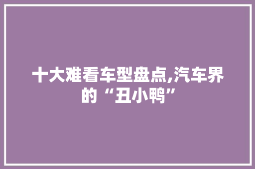 十大难看车型盘点,汽车界的“丑小鸭”