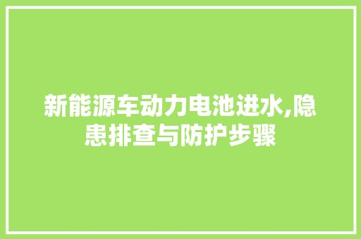 新能源车动力电池进水,隐患排查与防护步骤