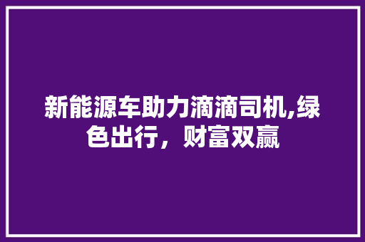 新能源车助力滴滴司机,绿色出行，财富双赢