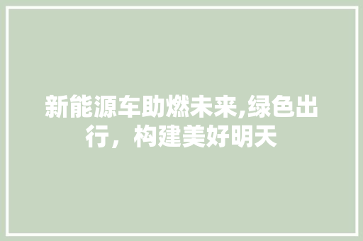 新能源车助燃未来,绿色出行，构建美好明天