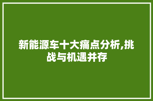 新能源车十大痛点分析,挑战与机遇并存