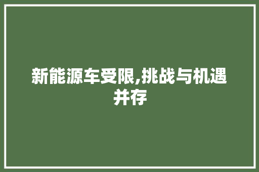 新能源车受限,挑战与机遇并存