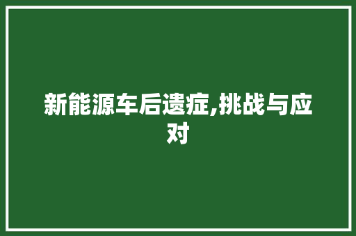 新能源车后遗症,挑战与应对