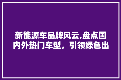 新能源车品牌风云,盘点国内外热门车型，引领绿色出行新时代