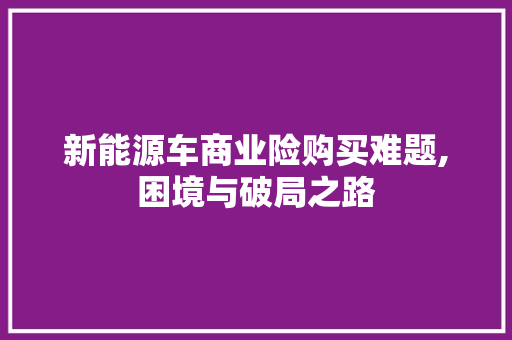 新能源车商业险购买难题,困境与破局之路
