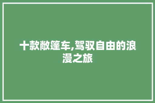 十款敞篷车,驾驭自由的浪漫之旅