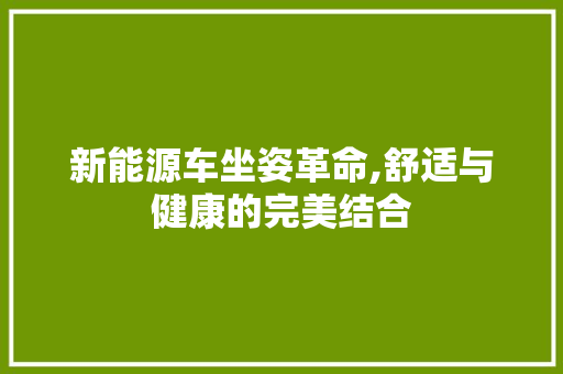 新能源车坐姿革命,舒适与健康的完美结合