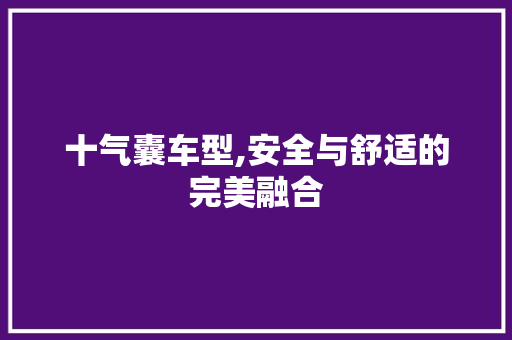 十气囊车型,安全与舒适的完美融合