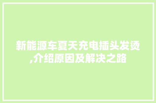 新能源车夏天充电插头发烫,介绍原因及解决之路 新款车型