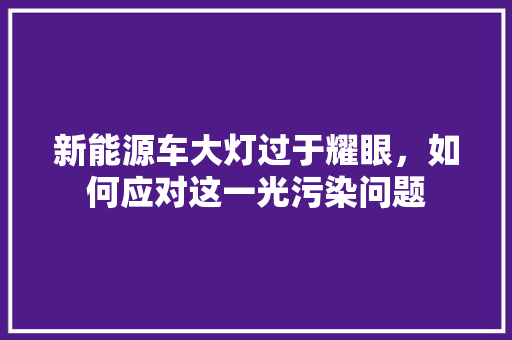 新能源车大灯过于耀眼，如何应对这一光污染问题 蓄电池配件