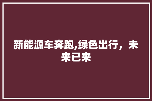 新能源车奔跑,绿色出行，未来已来
