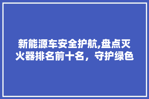 新能源车安全护航,盘点灭火器排名前十名，守护绿色出行