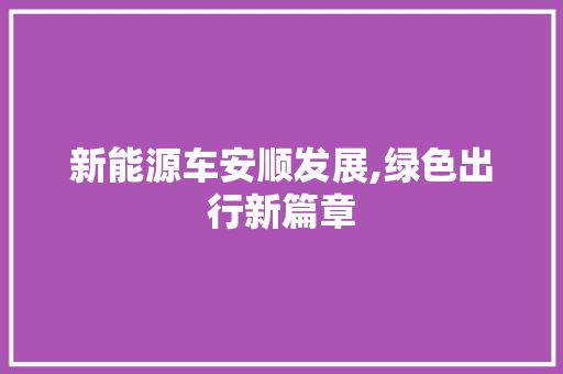 新能源车安顺发展,绿色出行新篇章 车灯配件