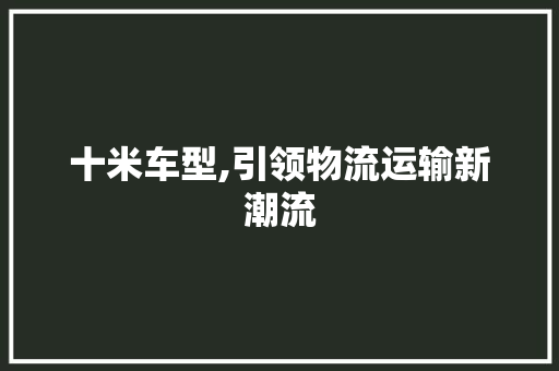 十米车型,引领物流运输新潮流