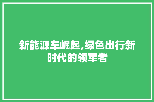 新能源车崛起,绿色出行新时代的领军者