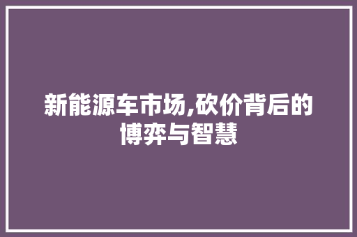 新能源车市场,砍价背后的博弈与智慧