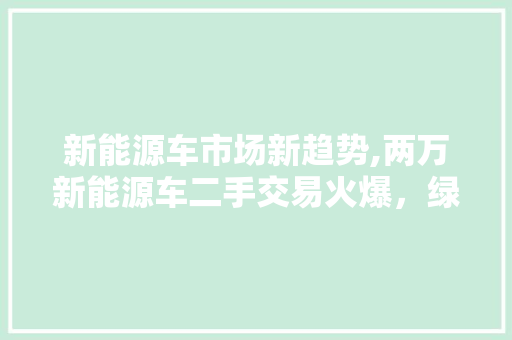 新能源车市场新趋势,两万新能源车二手交易火爆，绿色出行未来可期