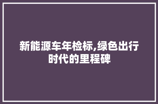 新能源车年检标,绿色出行时代的里程碑