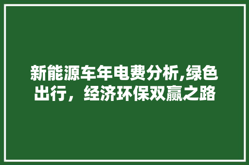 新能源车年电费分析,绿色出行，经济环保双赢之路