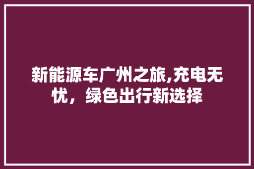 新能源车广州之旅,充电无忧，绿色出行新选择