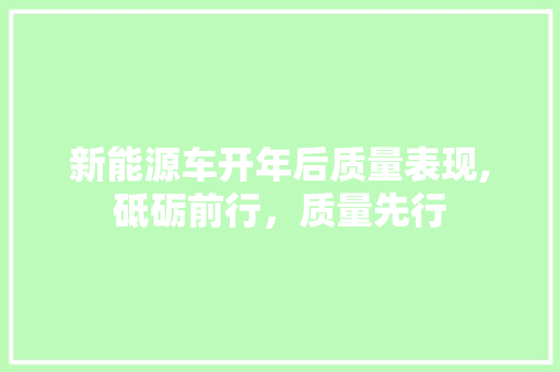 新能源车开年后质量表现,砥砺前行，质量先行