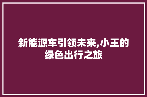 新能源车引领未来,小王的绿色出行之旅